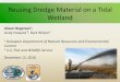 Reusing Dredge Material on a Tidal Wetland · Project origin •Delaware Wetland Conservation Strategy goal •DNREC desire to find alternate uses •Funded task under EPA wetland
