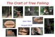 The Craft of Tree Felling - tvww.utsi.edutvww.utsi.edu/articles/The Craft of Tree Felling Presentation v2.pdf · Felling Mechanics • Height of holding wood -- stump shot or anti-kickback