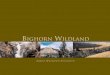 BIGHORN WILDLAND - Alberta Wilderness Association · 2018. 10. 31. · BIGHORN WILDLAND V 1 IVIAN PHARIS Nestled along the Eastern Slopes of Alberta’s Rocky Mountains lie 4000 sq
