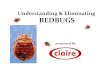 Understanding Eliminating BEDBUGS · Bedbugs are notoriously difficult to eradicate. They hide well and can go up to a year without feeding. However, it's important to rid your house