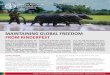 NOVEMBER 2017 MAINTAINING GLOBAL FREEDOM FROM RINDERPEST · 920 million USD every year in Africa alone. To coordinate a post-eradication strategy and to keep the world free of it,