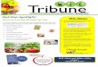 Tribune W · 2017. 7. 6. · Tribune W I C Nutrition Spotlight: Don’t forget to cash your WIC checks. Using WIC checks at the grocery store will save you money! WIC News VOID If