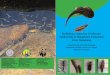 Preliminary report on Freshwater biodiversity in Wangchuck ...d2ouvy59p0dg6k.cloudfront.net/downloads/wcp... · 1. Prof. Sumit Home Chaudhuri 2. Shilpa Sen 3. Atreyee Chaudhuri 4