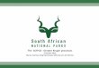 The GLTFCA - Greater Kruger processesbiodiversityadvisor.sanbi.org/wp-content/uploads/2018/11/Greater... · Phase 1 –Greater Kruger Protected Area problem statement 18 •Fences