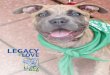 LEGACY of LOVE - Lucky Dog Animal Rescue...Since 2009, Lucky Dog Animal Rescue has worked to end the pet homelessness and save dogs and cats from high-kill shelters. Together, with