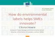 How do environmental labels helps SMEsec.europa.eu/environment/archives/ecoinnovation2015/1st... · 2016. 5. 30. · 10 Eco Labels help SMEs comply with regulations Eco labeling and
