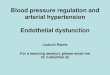 Blood pressure regulation and arterial hypertension Endothelial … · 2020. 3. 16. · Blood pressure Under blood pressure we usually mean the pressure in medium-sized arteries,