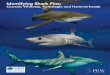 Identifying Shark Fins - CITES · 2017. 7. 18. · Shark fin traders in Asia visually sort fins from these species into specific trade categories using the shape and color of the
