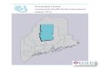 Piscataquis County Community Health Needs Assessment … · 2018. 8. 13. · Blue Hill Memorial Hospital Charles A. Dean Memorial Hospital ... Eastern Maine Medical Center EMHS Foundation