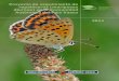 Proyecto de seguimiento de ropalóceros (mariposas diurnas) en … · 2016. 6. 24. · mariposas ibéricas –únicamente deben conocer las presentes en su área de estudio- experiencias
