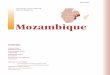 Mozambique - KU Leuven · capacidade institucional e técnica, ausência de coordenação inter-sectorial, excessiva centralização), nos ... The current reliance of the country