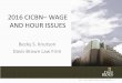 2016 CICBN WAGE AND HOUR ISSUES - Davis Brown Law Firm CICBN... · 1. The employee must be an hourly rate employee; 2. The wage agreement must provide a fixed number of working hours