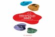 CANON SALES CO.,INC ANNUAL REPORT 2005 · 2010. 7. 15. · The Canon Sales Group comprises the parent company Canon Sales and its 16 consolidated subsidiaries. ... sales of maintenance