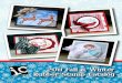 2011 Fall & Winter Rubber Stamp Catalog - StampinEJ€¦ · Clear Photopolymer Stamps Our clear stamps are made in the uSA from the highest quality photopolymer available. These stamps