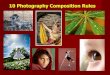 Photography Composition Ruleswildcatsphoto.weebly.com/uploads/2/2/8/9/22895064/... · 10 Photography Composition Rules . 1. Rule of Thirds: ... Doing the rule of thirds will add balance
