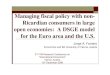Managing fiscal policy with non- Ricardian consumers in large … · 2008. 12. 15. · Managing fiscal policy with non-Ricardian consumers in large open economies: A DSGE model for