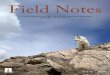 Field Notes - University of Vermont FIELD NOTES 2 3 FIELD NOTES Jeffrey Hughes is the director of the