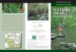 Lockhart State Park Nature Trail Interpretive Guide · LOCKHART STATE PARK NATURE TRAIL. NATIVE FLORA. Along the Nature Trail many plants are identified with markers. These markers