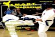 December 2015 Issue · Belt Division, 3 Gold - Triple Crown World Cup 2013 - Fighting, Forms, and Weapons in Black Belt Division, and Black Belt Weapons Champion at the Ed Parker's