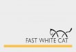 FWC PREZKA v3 ang · Strategic Marketing Consultant Fast White Cat has been taking care of Quiosque for over 3 years. Meanwhile, we developed eCommerce business together. Fast White