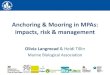 Anchoring & Mooring in MPAs: impacts, risk & management...1. Assess UK protected features for sensitivity to anchoring and mooring and identify MPAs with sensitive features 2. Quantify