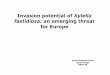 Invasion potential of Xylella fastidiosa: an emerging ...Invasion potential of Xylella fastidiosa:an emerging threat for Europe Maria Bergsma-Vlami Bacteriology NPPO-NL. ... Hibiscus