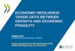 ECONOMIC RESILIENCE: TRADE-OFFS BETWEEN GROWTH AND ... · Efficiency channel Fragility channel Overall growth Crisis risk Capital flows composition ints) t Growth and crisis risk,