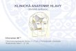 KLINICKÁ ANATOMIE HLAVY - Anatomický ústav 1. LF UKKLINICKÁ ANATOMIE HLAVY (klinické aplikace) Chovanec M1,2 1Otorinolaryngologická klinika 3. LF UK a FN Královské Vinohrady