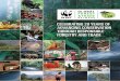CELEBRATING 20 YEARs of AdvANCING CoNsERvATIoN …awsassets.panda.org/downloads/20th_anniversary_report.pdf · erupts around the world over escalating deforestation, illegal logging