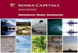 Relazione Stato Ambiente - comune.roma.itEnergia e cambiamenti climatici Relazione sullo Stato dell’Ambiente ... e un nuovo accordo globale salva-clima che i paesi dovranno sottoscrivere