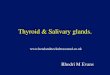 Thyroid & Salivary glands. - The Swansea Head & Neck ...headandneckultrasound.co.uk/presentations/Thyroid and salivary gla… · Thyroid & Salivary glands. Rhodri M Evans . Incidence