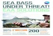 SEA BASS UNDER THREAT! EAA SOLUTIONS · the european sea bass (dicentrarchus labrax) is a highly prized and much sought after species for recreational anglers throughout the waters