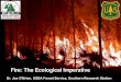 Fire: The Ecological Imperative · Fire-Atmosphere Interactions. Fuel Arrangement. Fire Seasonality What is the “natural” fire season? Fire in any season is better than no fire