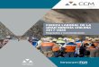 Fuerza LaboraL de La Gran Minería ChiLena 2017-2026herramientas.ccm.cl/eflm/pdf/ReporteCCM.pdf · Caracterización de la fuerza laboral de la gran minería ... el elemento fundamental,