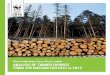 Elena Feditchkina Tracy, Alexey Lankin AnALysis oF TimbEr ExporTs … · Vladivostok: WWF-Russia, 2016. — 44 p., color illustrations This work offers an analysis of timber and wood