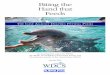 Biting the Hand that Feeds - Humane Society of the United ......Biting the Hand that Feeds An investigative report by WDCS, the Whale and Dolphin Conservation Society and The Humane