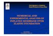 NUMERICAL AND EXPERIMENTAL ANALYSIS OF INFLATED …aconci/Apresentacao0223.pdf · 2010. 1. 2. · PACAM 2010 Foz do Iguaçu, January 4-8 Experimental Formulation (a) (b) (c) To measure