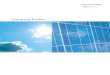 Company Profile - Viessmann...6 La Divisione Nuove Energie Nuove Energie – Viessmann Group è il primo referente italiano per le soluzioni e i sistemi dedicati all’energia solare