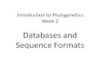 Databases and Sequence Formatssf34/class_home/phylo/Week2Lecture.pdf · Sequence Formats . I. Databases •Crucial to bioinformatics •The bigger the database, the more comparative
