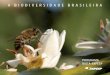 A BIODIVERSIDADE BRASILEIRA - Fapesp · 2014. 2. 11. · a biodiversidade do Estado de São Paulo, promover o seu uso sustentá-vel, estabelecer mecanismos para a sua conservação,