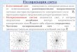 Поляризация света - kpfu.ru · 2018. 4. 19. · Поляризация света • Естественный свет ... • Частично поляризованный
