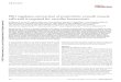 Plk1 regulates contraction of postmitotic smooth muscle ...med.uky.edu/sites/default/files/Plk regulates contraction...2016/11/17  · María de los Ángeles Sevilla9,10, María Jose