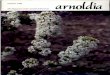 1984 - Arnoldia - Home Arnold Arboretumarnoldia.arboretum.harvard.edu/pdf/issues/1984-44-3-Arnoldia.pdf · Eileen J. Dunne, Editor Peter Del Tredici, Associate Editor David Ford,