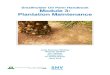 Smallholder Oil Palm Handbook Module 3: Plantation Maintenance 3 - 3rd edition... · Module 3: Plantation maintenance 3 1. IMPORTANT TERMS Figure 1: Oil palm In Figure 1 the following