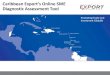 Caribbean Export’s Online SME Diagnostic Assessment Tool€¦ · PowerPoint Presentation Author: Joellen Laryea Created Date: 4/25/2018 6:47:33 PM 