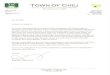 DOWNTOWN REVITALIZATION INITIATIVE...commitment to Chili and the Chili Center revitalization. Through their acceptance of the Chili Center Master Plan, the Town Board of the Town of