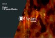 Project UM System «Phoenix»skiilfo.com/download/UMSPhoenix.pdf · 2019. 1. 16. · многолетних проблем. ... Мы объединяем всё лучшее в одном