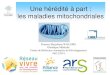 Les maladies mitochondriales · • Mutation homozygote du gène SURF1 (impliqué dans la fabrication du complexe IV) Conclusion : diagnostic des maladies mitochondriales • Le plus