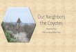 Our Neighbors the Coyotes - WordPress.com · 2018. 8. 31. · •Pass along this information to your neighbors. If anyone in the neighborhood is feeding wildlife directly, or indirectly,