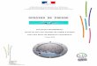 DOSSIER DE PRESSE dossier de présentation... · Le projet vise la reconversion de la partie non utilisée du port de pêche de Camaret sur-Mer en plaisance par la création de 100